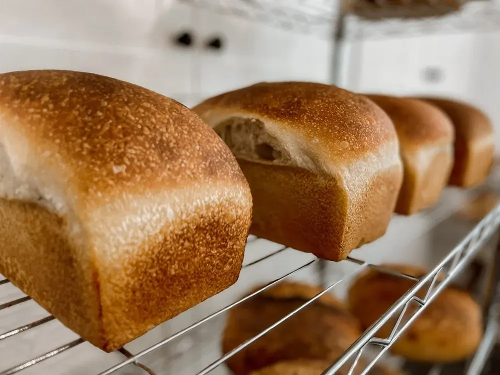 Pan sourdough sandwich loaves lined up fresh from the oven