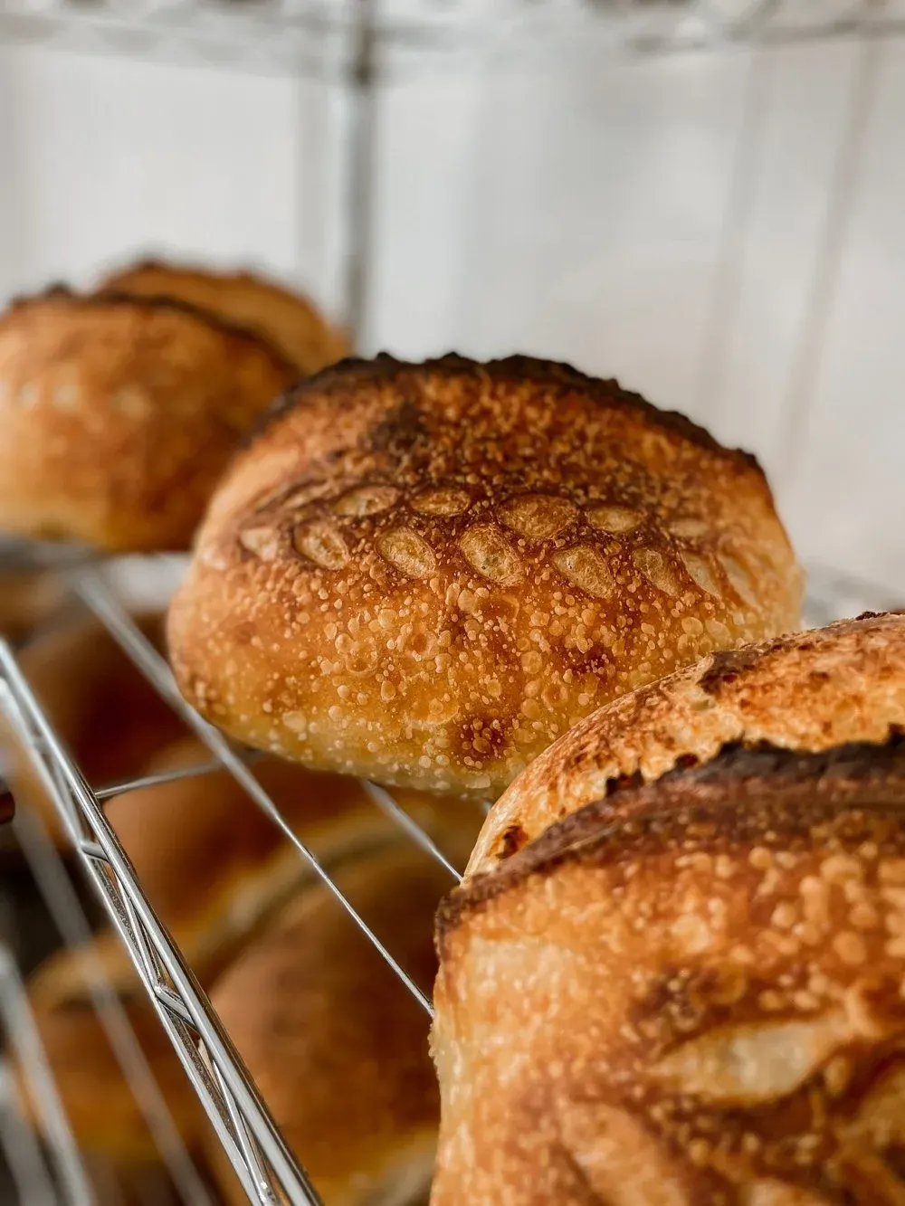 Golden hand-scored artisan sourdough boules cooling on a bakery rack